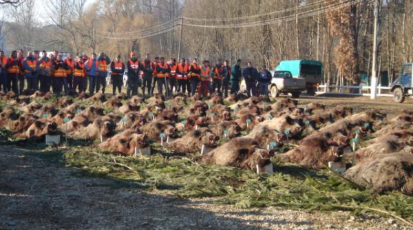 vanatoarea de la balc