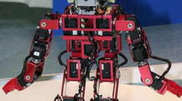 robot doica pentru copii