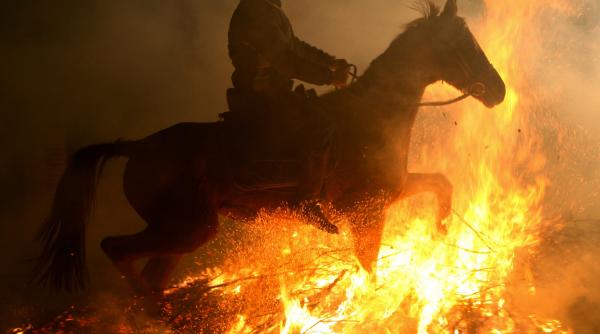 ceremonii de sfantul anton
