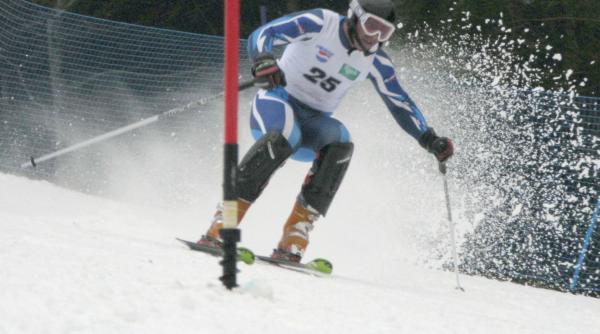 barbu regele partiei