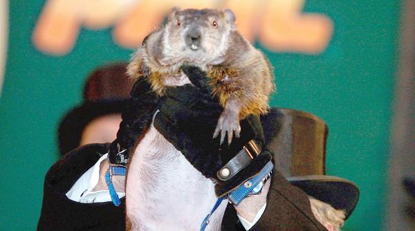 phil vestitorul primaverii