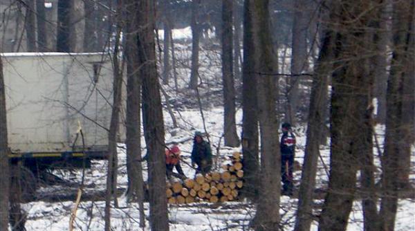 ciopartita chiar de autoritati