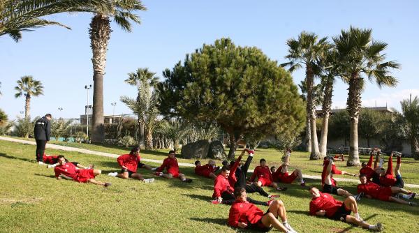 dinamo umbre in plin soare