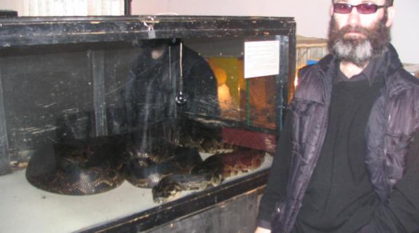 romania in cinci minute