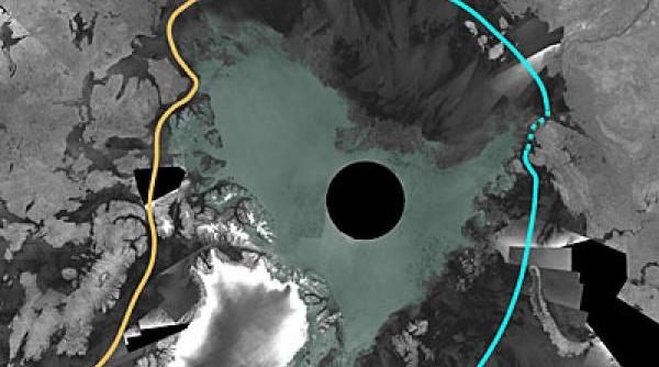 alarma icirc ncalzirea globala distruge banchiza de gheata arctica