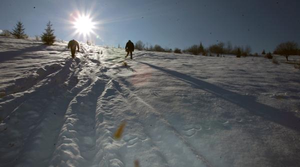 au scotocit ca orbetii