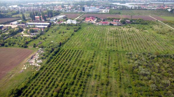 caisii din baneasa smulsi ca ridichile si quot deportatiquot