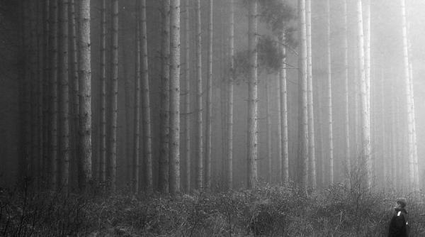 neschimbat la proceduri noi aceiasi oameni