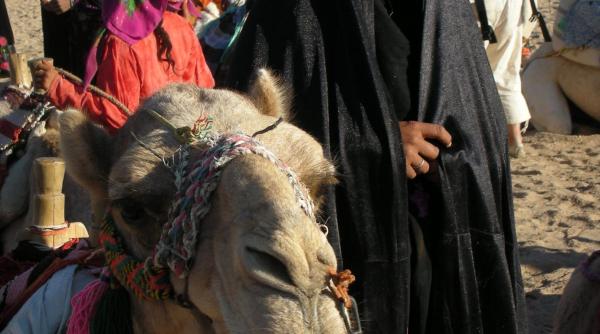 el desertul sau el destinul