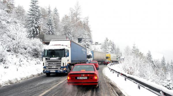 transport alternativ