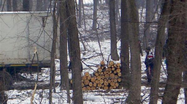 voda cuza da cu o mana afaceristii iau cu zece