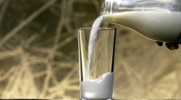 alimentele organice sunt mai sanatoase