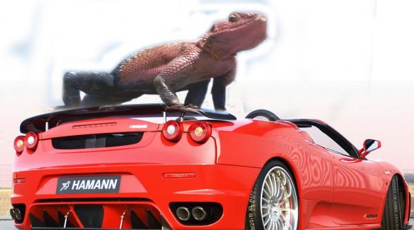 mi s s incinsa pe capota fierbinte 2006