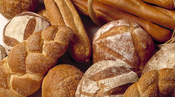 pledoarie pentru painea integrala