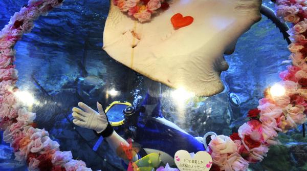 dragostea trece prin apa