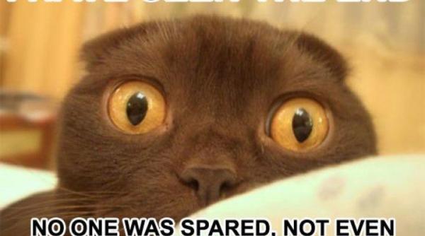 fonduri de pensii teapa cica in 2012 vine sfarsitul lumii