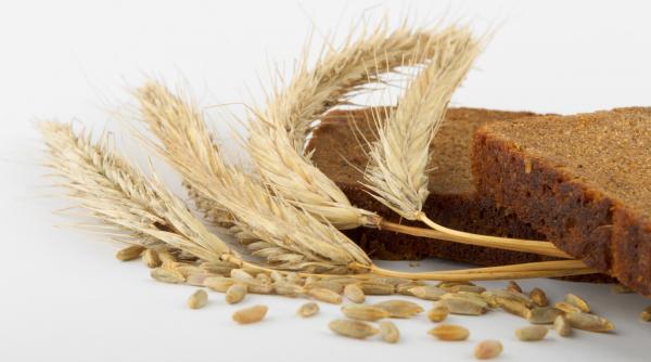 paine sanatoasa din faina integrala