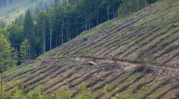 icirc ntrebari pentru comisia europeana
