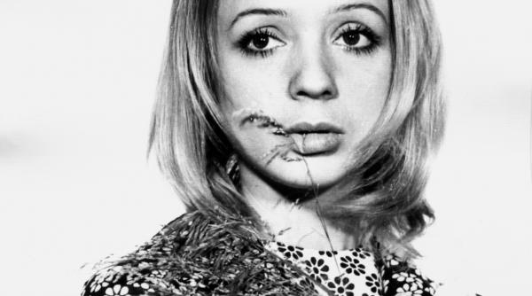 mihaela mihai sau povestea unei minuni