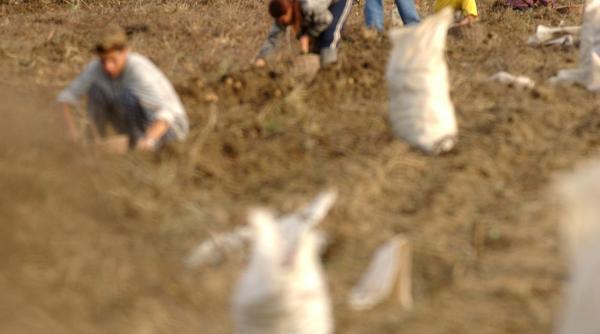 promovare de 50 de milioane e