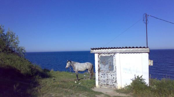 compasiune reciproca