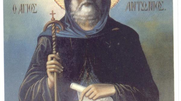 marti 12 februarie 2008