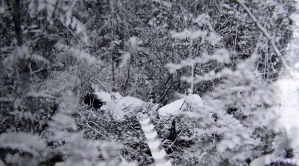 moartea a venit cu ia ma nene