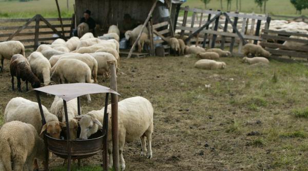 rigorile zootehniei ecologice