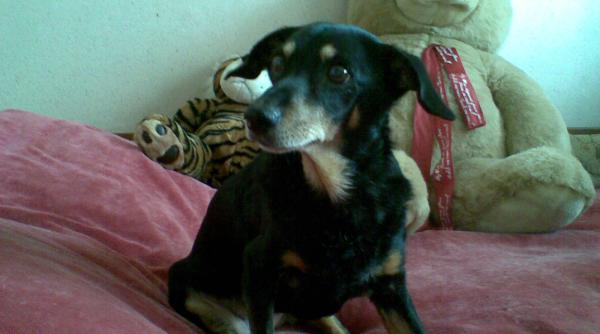 babi mai vrea sa traiasca putin