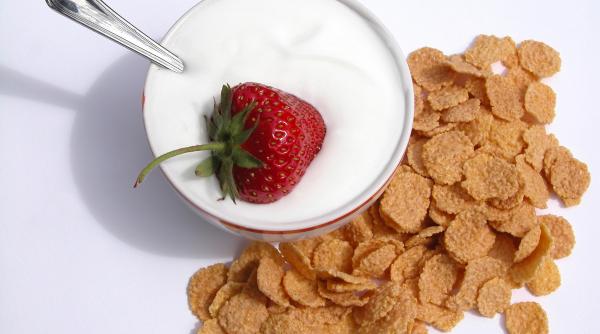 iaurtul un aliment viu