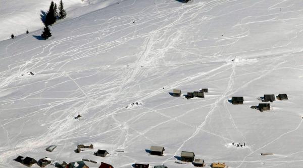 padisul ramane zona protejata