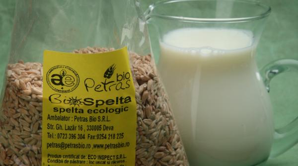 produsul zilei grau spelta ecologic