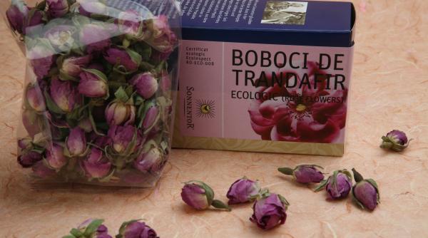 produsul zilei boboci de trandafir