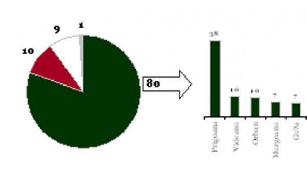 sondaj gallup prigoana favorit in cursa pentru capitala