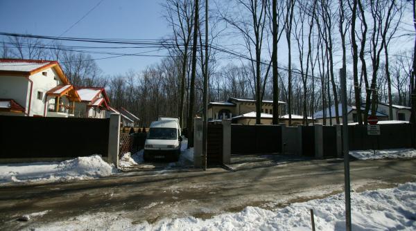 topoare si mistrii in padurea baneasa