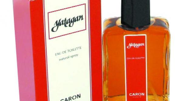 rezistent ca o bacterie