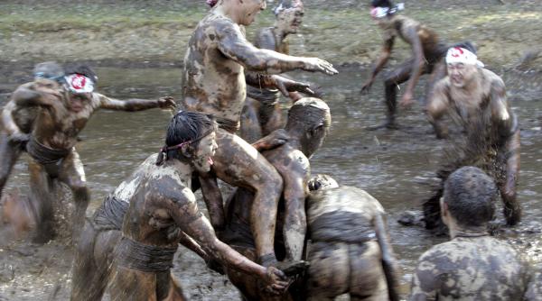 lupte in mlastina pentru recolte bogate