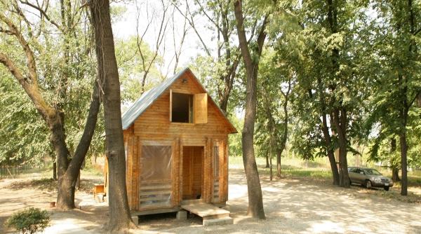acuze cearta pe parcul bordei nu ajuta la nimic zona verde