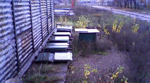 jaful mileniului de la krivoi rog