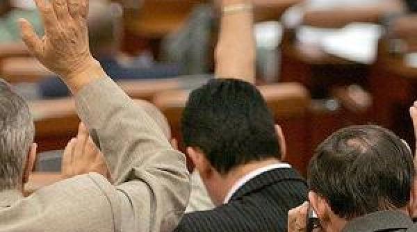 camera deputatilor a adoptat legea votului uninominal