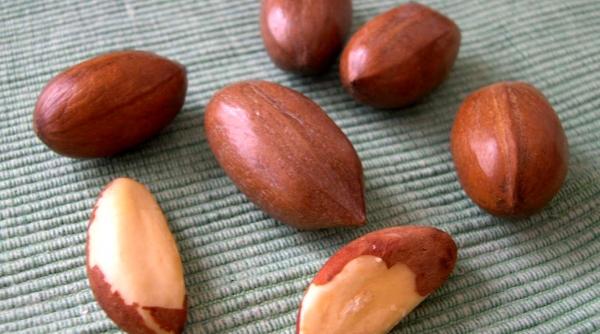 de ce nuci de brazilia