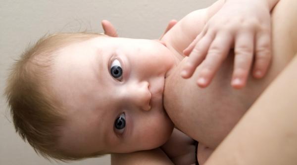 bio pentru lapte bun