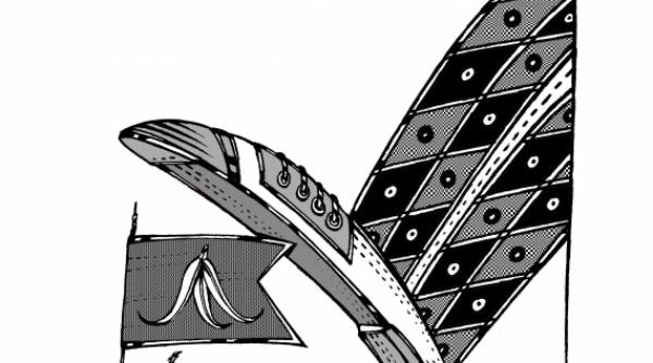 despre pasul urmator