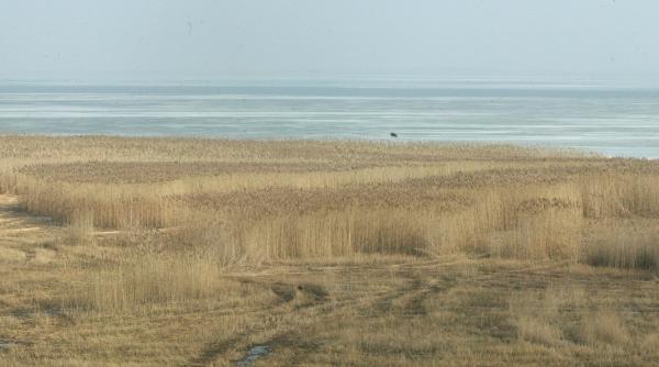 harghita nu incendiilor de miristi