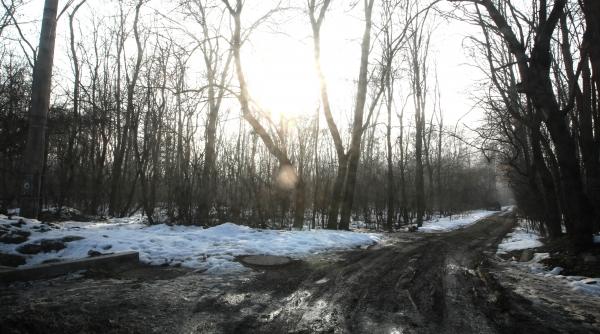 padurea baneasa asfaltata pas cu pas