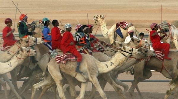 cursa de camile in janadriya