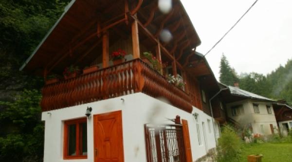 vacante icirc ncasari record