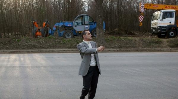 e padurea mea fac ce vreau cu ea