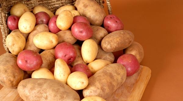 un cartof doi cartofi