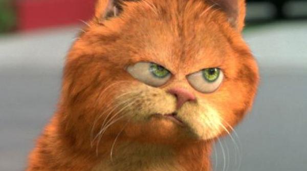 garfield un motan pentru linistea mea